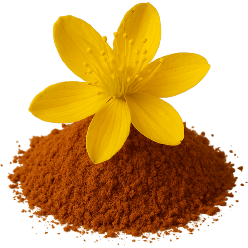 St. John's Wort